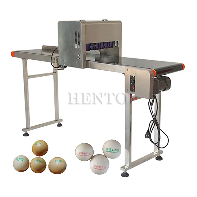 Egg Printing Machine