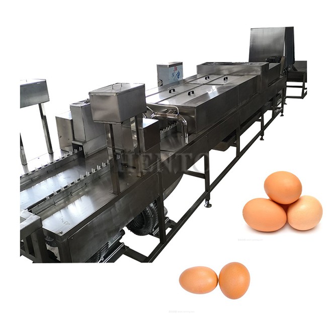 Egg Washing And Drying Machine