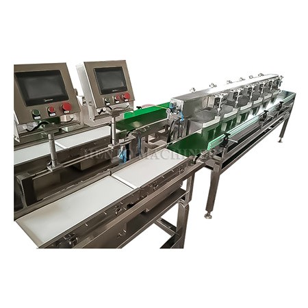 fish sorting machine