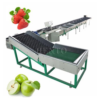 Fruit Sorting Machine