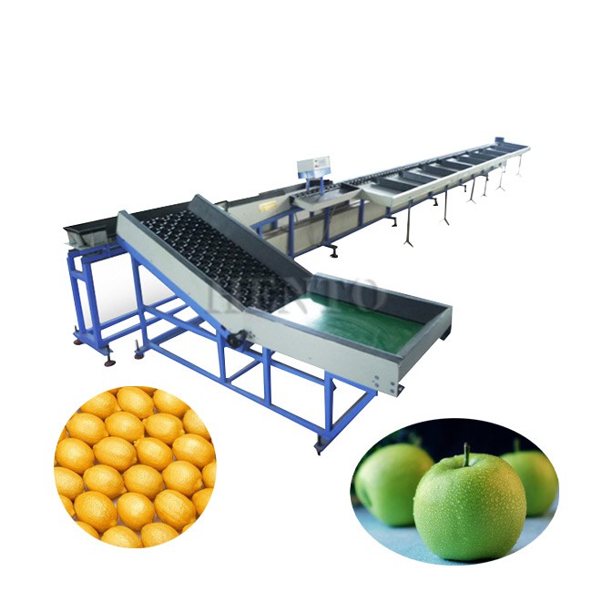 Fruit Sorting Machine