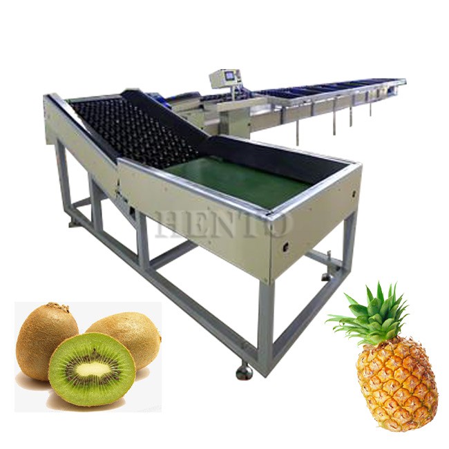 Fruit Vegetables Sorting Equipment