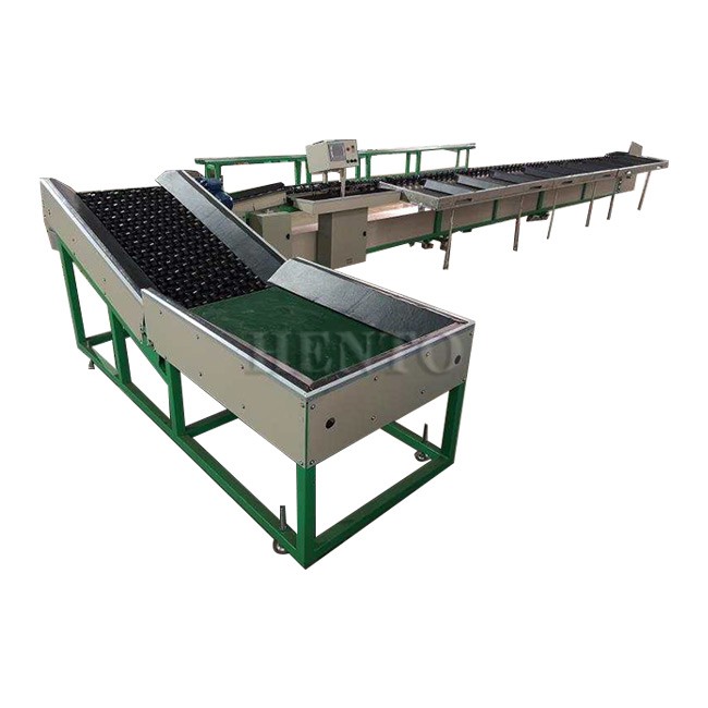 Automatic Kiwi Grading Machine