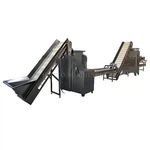Garlic Peeled Production Line