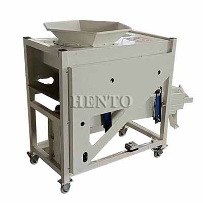 Garlic Splitting Sorter Machine