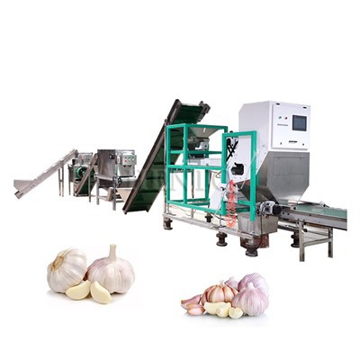 Garlic Separator Peeler Sorter Production Line
