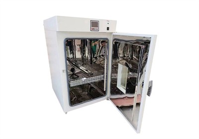 How to make Magic Black Garlic?