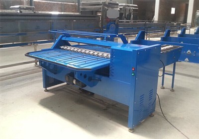Do you need egg grading machine?
