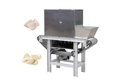 Chain garlic peelers are efficient machines
