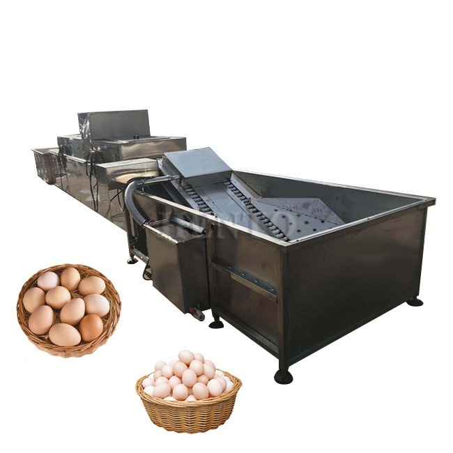Industrial Egg Washing Machine