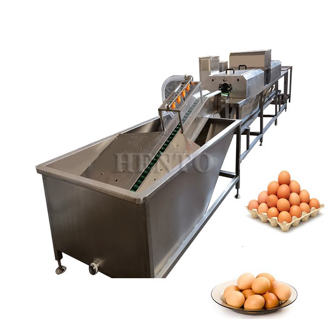 Industrial Egg Washing Machine