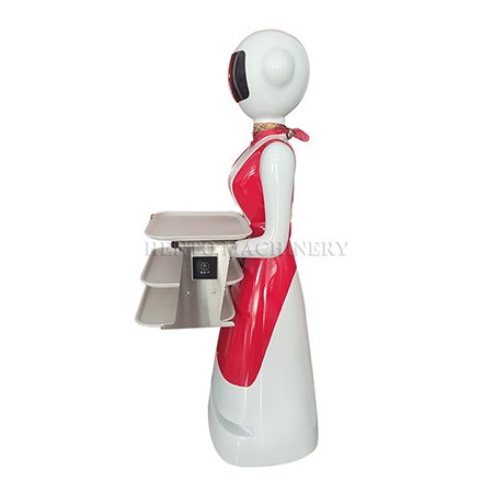 Humanoid Delivery Dish Robot