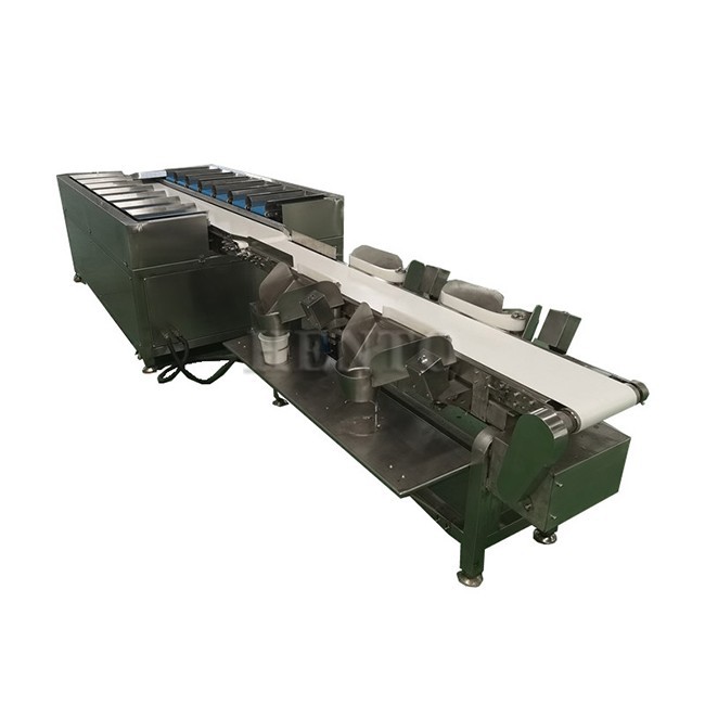 Combination Sorter Scale