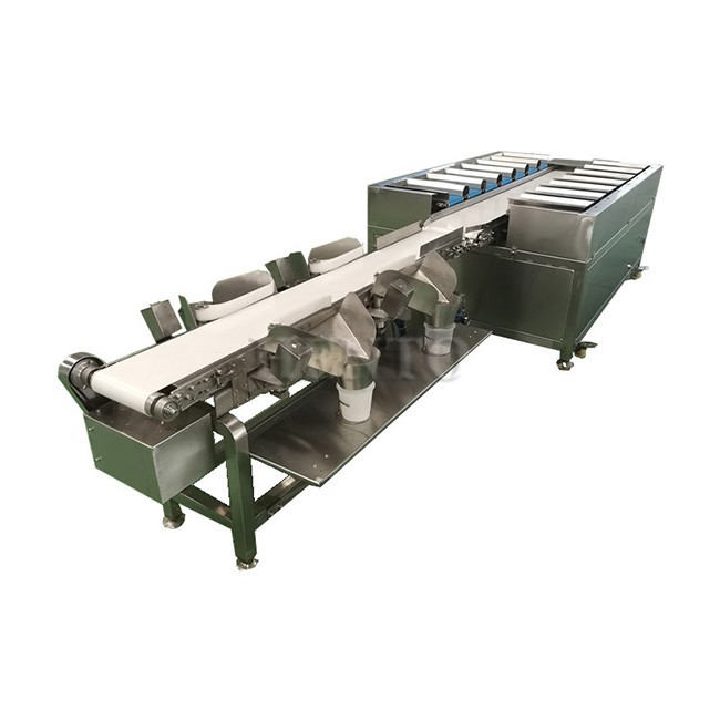 Computer Combined Scale Packaging Machine