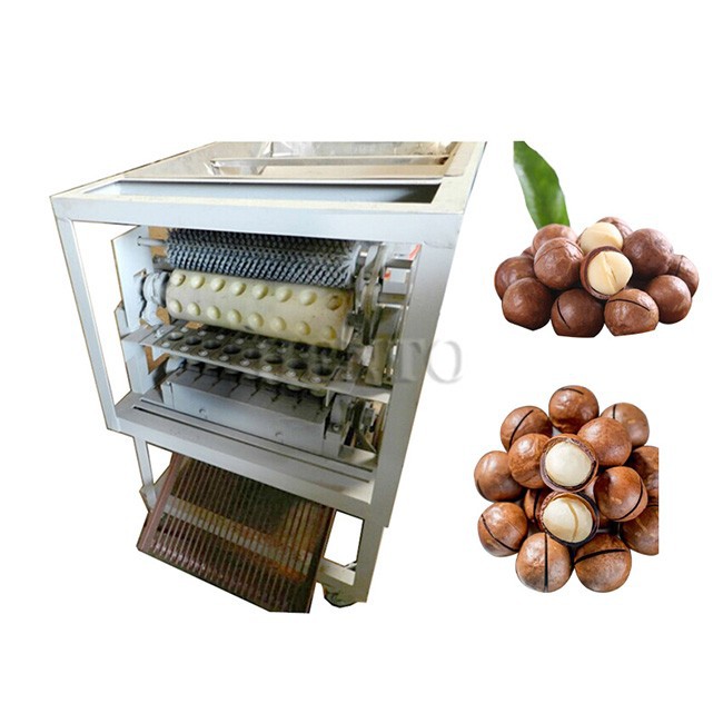 Macadamia Nut Cutter