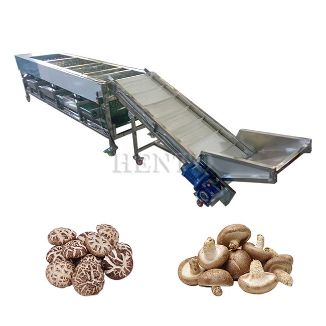 Mushroom Sorting Machine
