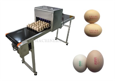 How to use egg printer ?