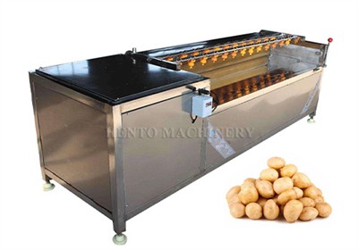 Malaysian Customers Come To Visit The Factory And Purchase A Brush Washing Ma...