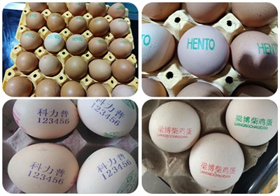 Why do people think that printing on eggs is better and safer to eat?