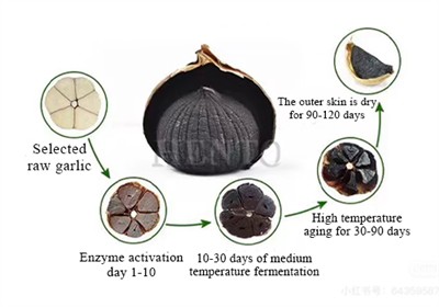 How is black garlic refined?