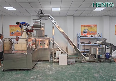 Vietnamese Customers Visit Rice Noodles Production Line