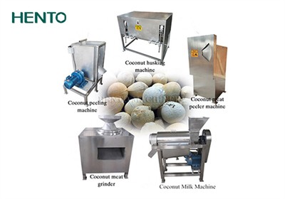 How to make delicious coconut milk?