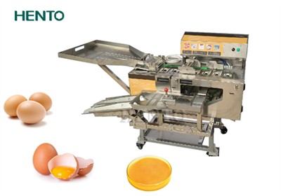 Do you need egg white and yolk separator machine?