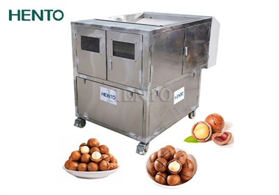 How to Choose Macadamia Nut Cracker Machine?