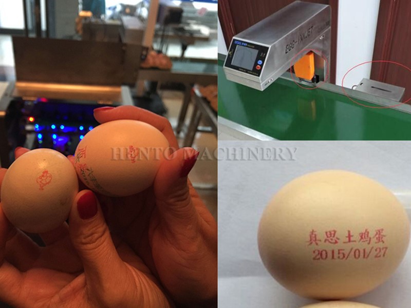 Egg Printer 1 Egg Printer 1