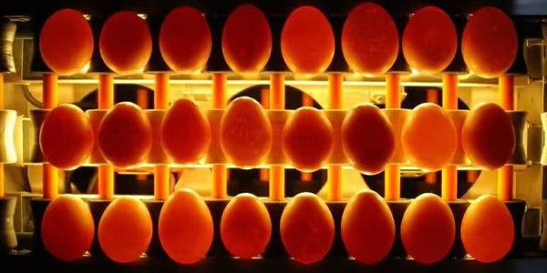 news-600-300 news-600-300