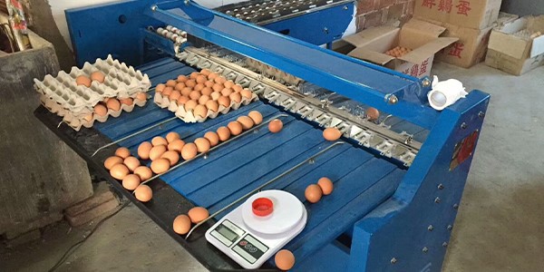 news-600-300 news-600-300