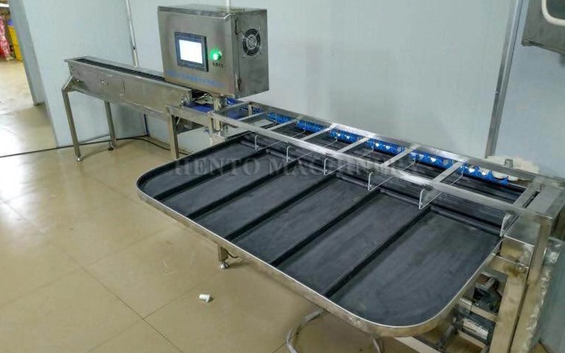 Chicken Egg Sorting Machine3