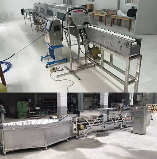 Chicken Egg Sorting Machine2 Chicken Egg Sorting Machine2
