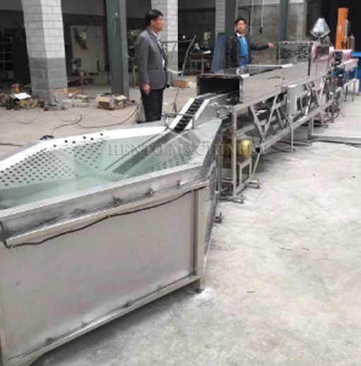 Chicken Egg Sorting Machine1 Chicken Egg Sorting Machine1