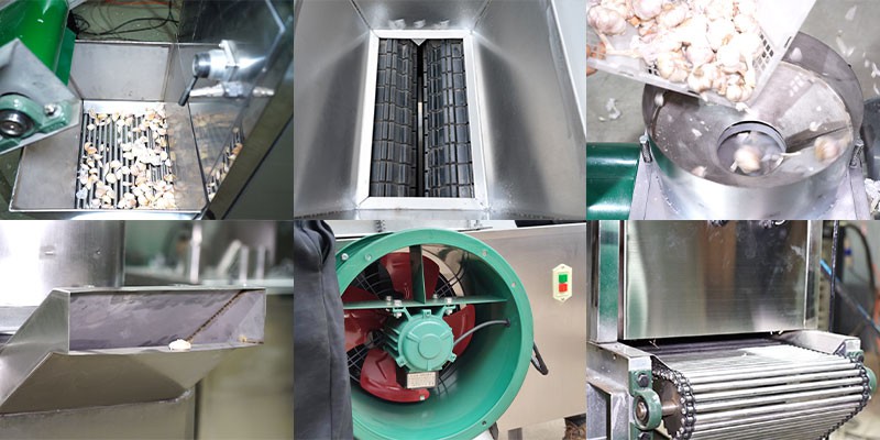 garlic color sorter 4 garlic color sorter 4