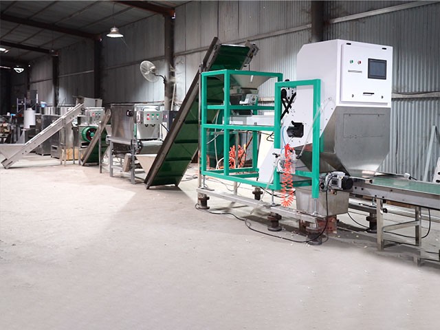 garlic color sorter 1