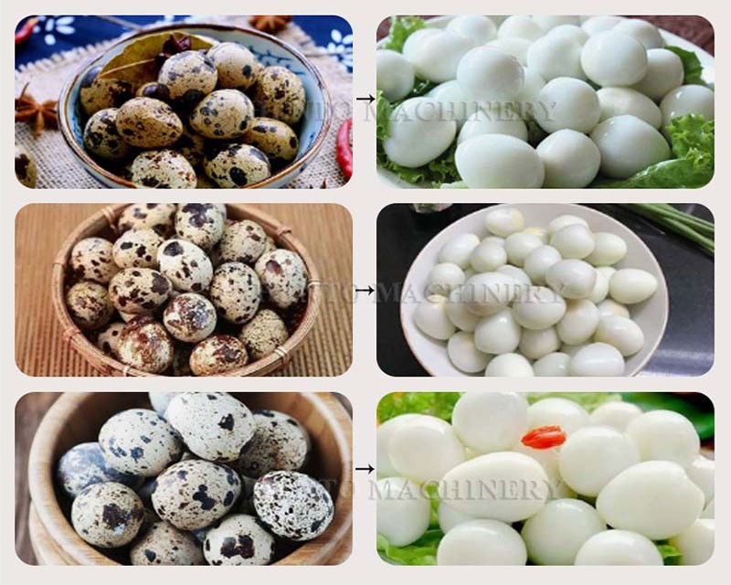 Quail Egg Sheller Machine Quail Egg Sheller Machine