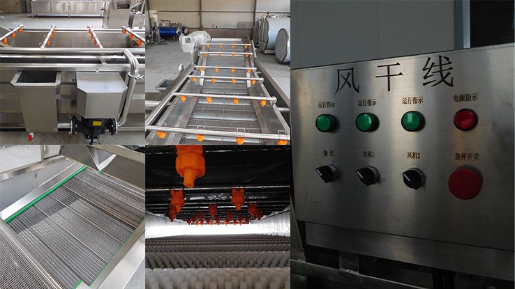 Fruit and Vegetable Drying Production Line2 Fruit and Vegetable Drying Production Line2
