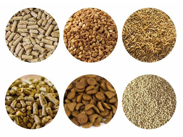 Poultry Feed Production Line