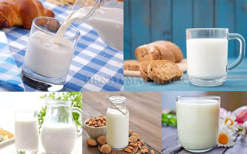 Automatic Milk Vending Machine