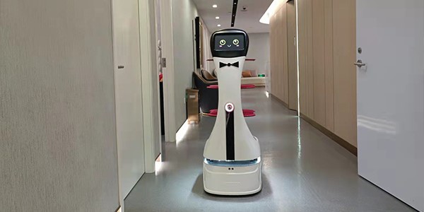 Autonomous Delivery Robots Autonomous Delivery Robots