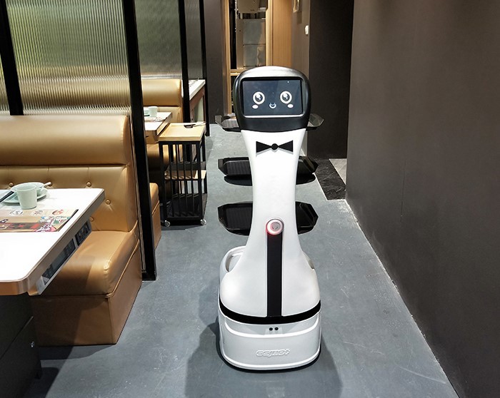 Robot Dish Delivery Robot Dish Delivery