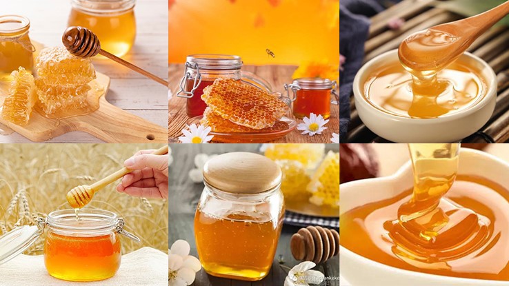 Honey Extractor Machine 2