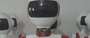 Welcome Robot3 Welcome Robot3