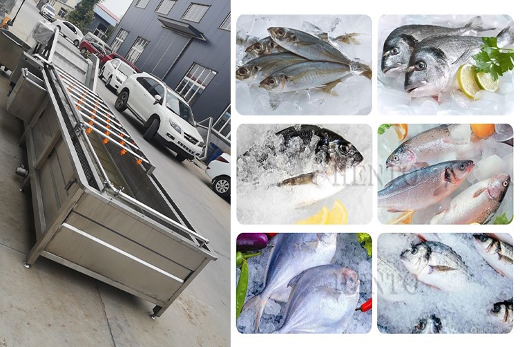 Fish Thawing Machine2 Fish Thawing Machine2