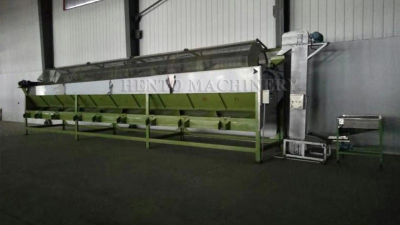 cashew sorter cashew sorter