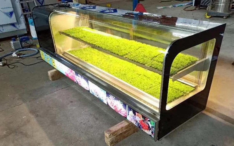 Sushi Display Refrigerator Sushi Display Refrigerator