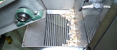 peeled garlic machine