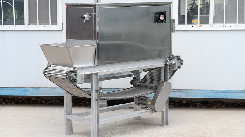 garlic peeler machine small