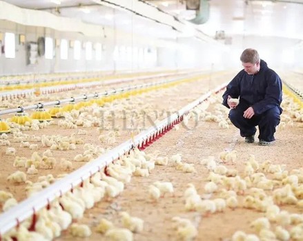 news-700-558 news-700-558